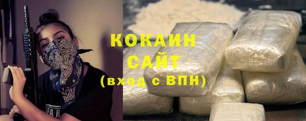 бошки Белокуриха