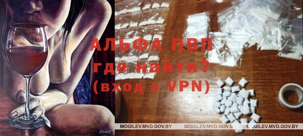 бошки Белокуриха
